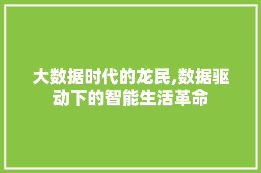 大数据时代的龙民,数据驱动下的智能生活革命