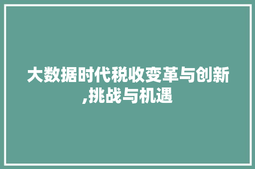 大数据时代税收变革与创新,挑战与机遇