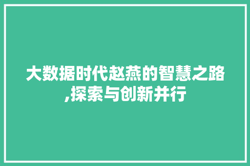 大数据时代赵燕的智慧之路,探索与创新并行