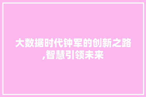大数据时代钟军的创新之路,智慧引领未来
