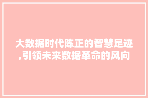 大数据时代陈正的智慧足迹,引领未来数据革命的风向标