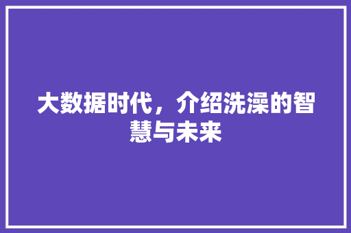 大数据时代，介绍洗澡的智慧与未来