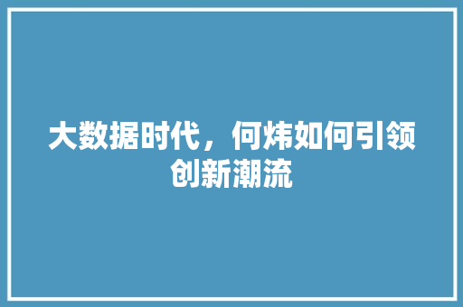 大数据时代，何炜如何引领创新潮流