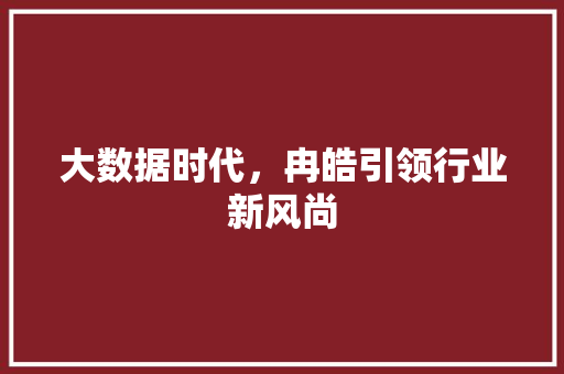 大数据时代，冉皓引领行业新风尚