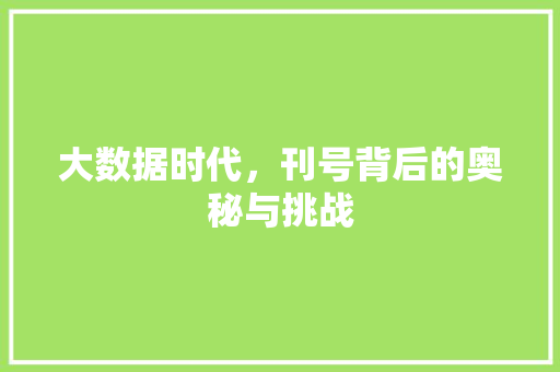 大数据时代，刊号背后的奥秘与挑战