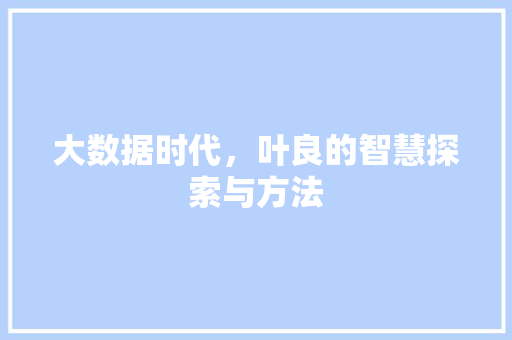 大数据时代，叶良的智慧探索与方法