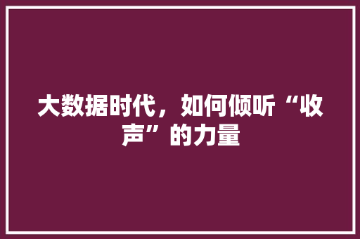 大数据时代，如何倾听“收声”的力量