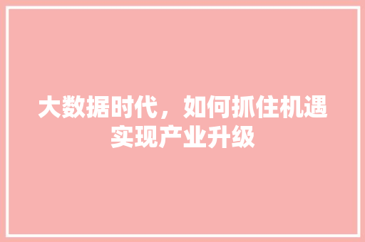 大数据时代，如何抓住机遇实现产业升级