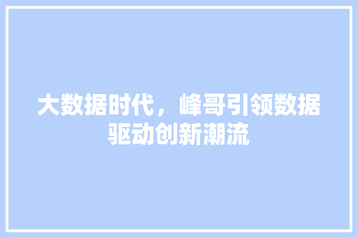 大数据时代，峰哥引领数据驱动创新潮流