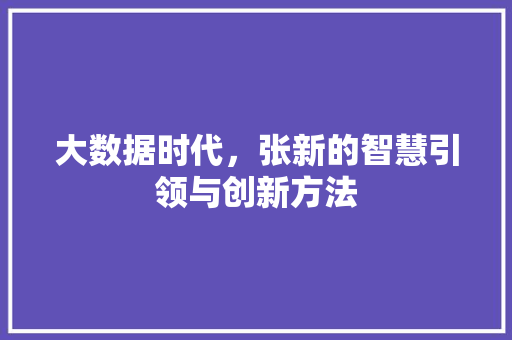 大数据时代，张新的智慧引领与创新方法