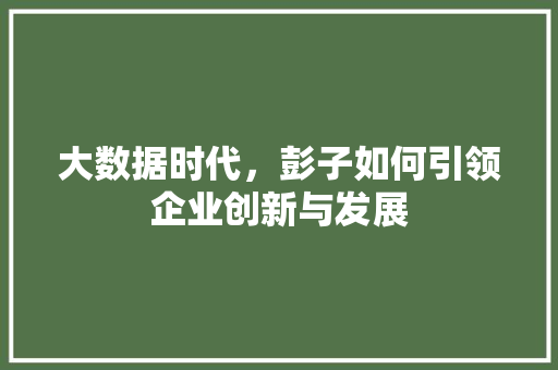 大数据时代，彭子如何引领企业创新与发展
