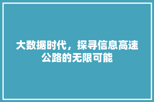 大数据时代，探寻信息高速公路的无限可能
