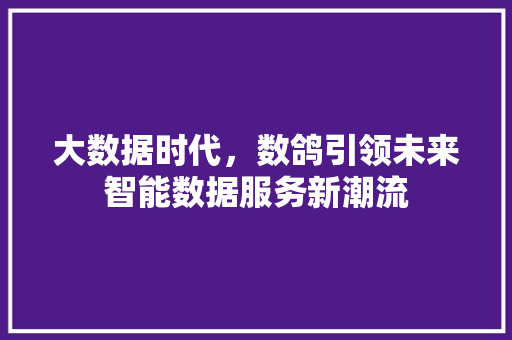 大数据时代，数鸽引领未来智能数据服务新潮流