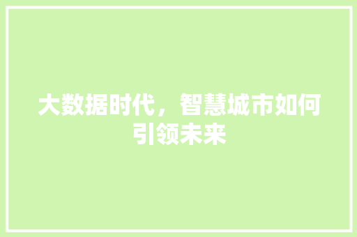 大数据时代，智慧城市如何引领未来