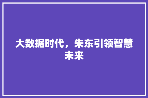 大数据时代，朱东引领智慧未来