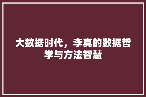 大数据时代，李真的数据哲学与方法智慧