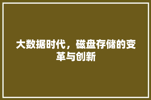 大数据时代，磁盘存储的变革与创新