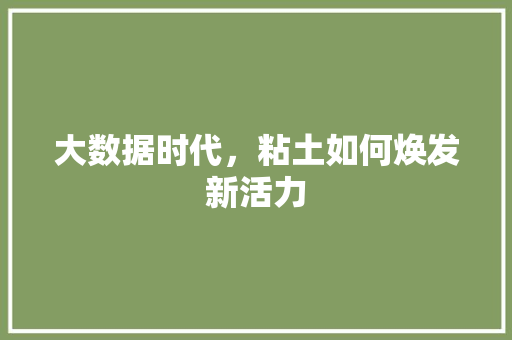 大数据时代，粘土如何焕发新活力