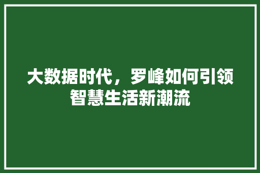 大数据时代，罗峰如何引领智慧生活新潮流