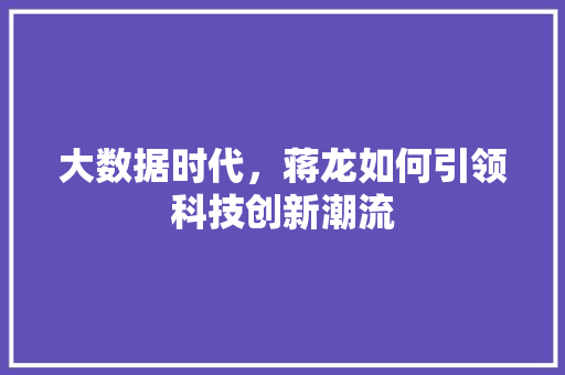 大数据时代，蒋龙如何引领科技创新潮流