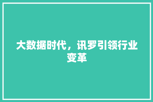 大数据时代，讯罗引领行业变革