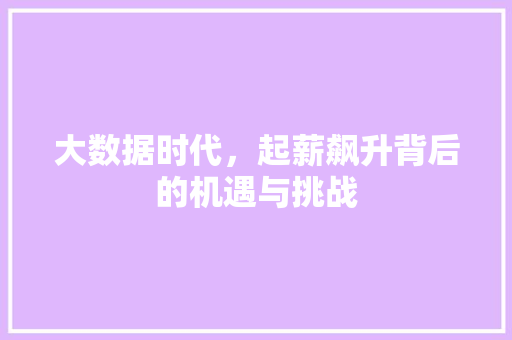 大数据时代，起薪飙升背后的机遇与挑战