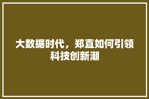 大数据时代，郑直如何引领科技创新潮