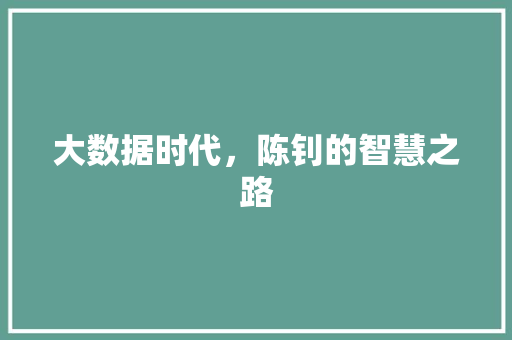大数据时代，陈钊的智慧之路