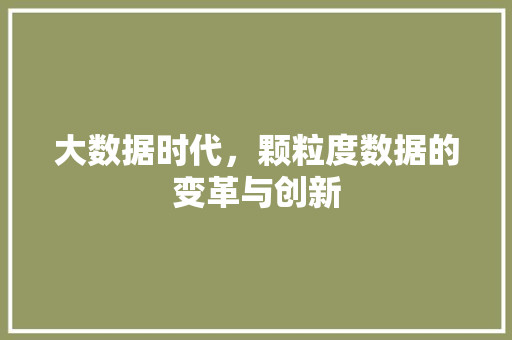 大数据时代，颗粒度数据的变革与创新