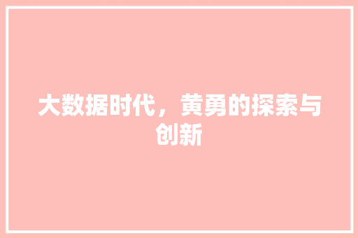 大数据时代，黄勇的探索与创新