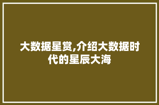 大数据星赏,介绍大数据时代的星辰大海