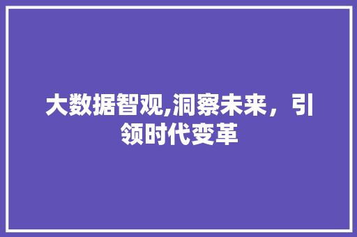 大数据智观,洞察未来，引领时代变革