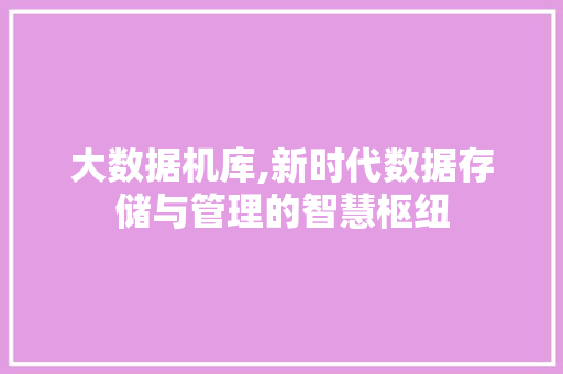 大数据机库,新时代数据存储与管理的智慧枢纽