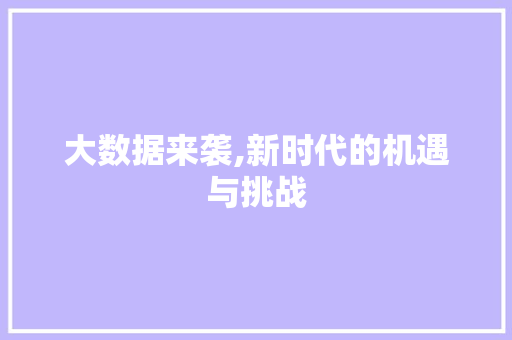 大数据来袭,新时代的机遇与挑战