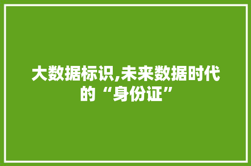 大数据标识,未来数据时代的“身份证”