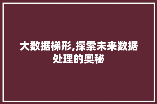 大数据梯形,探索未来数据处理的奥秘