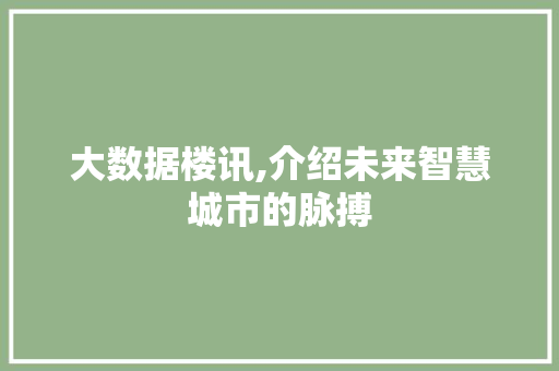 大数据楼讯,介绍未来智慧城市的脉搏