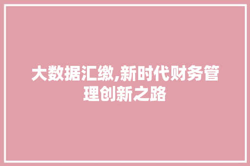 大数据汇缴,新时代财务管理创新之路