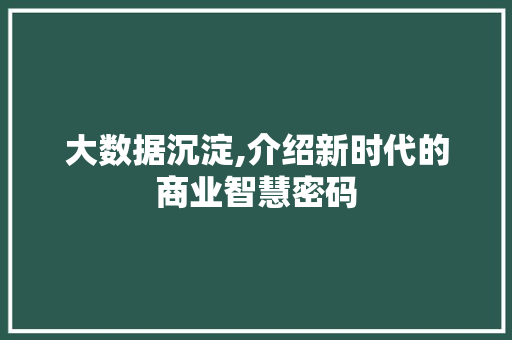 大数据沉淀,介绍新时代的商业智慧密码