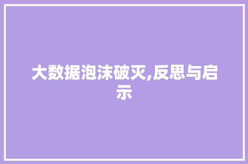 大数据泡沫破灭,反思与启示