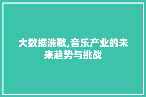大数据洗歌,音乐产业的未来趋势与挑战