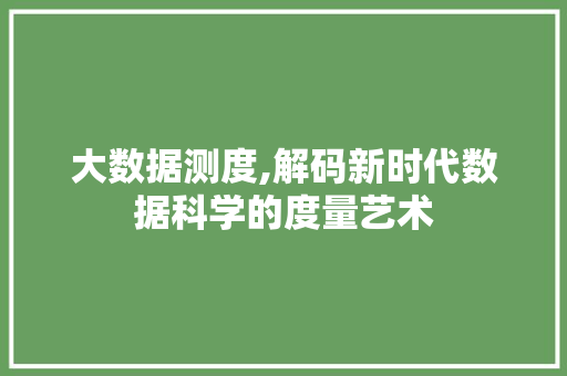 大数据测度,解码新时代数据科学的度量艺术