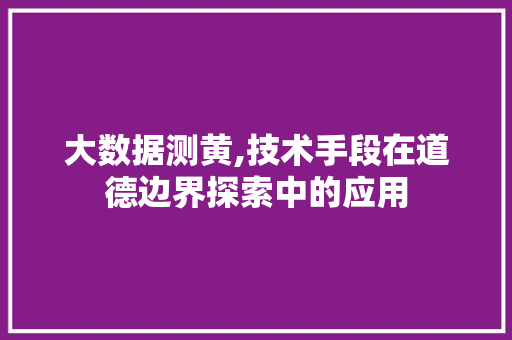大数据测黄,技术手段在道德边界探索中的应用