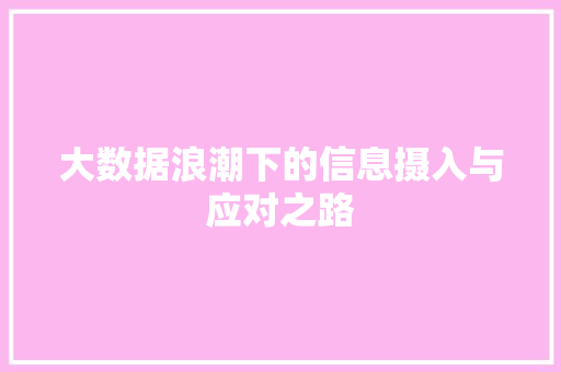 大数据浪潮下的信息摄入与应对之路