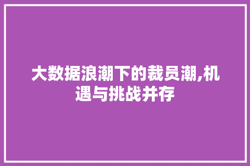 大数据浪潮下的裁员潮,机遇与挑战并存