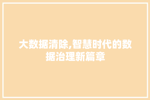 大数据清除,智慧时代的数据治理新篇章