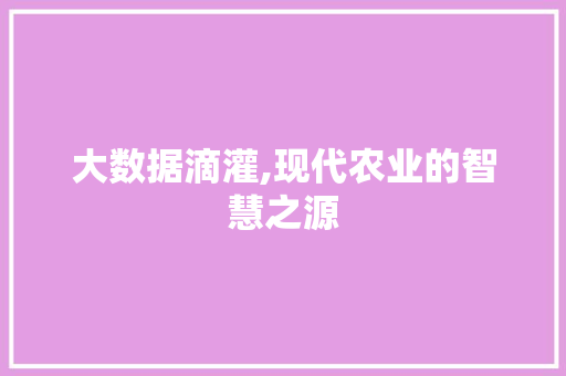 大数据滴灌,现代农业的智慧之源
