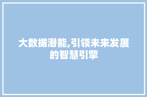 大数据潜能,引领未来发展的智慧引擎