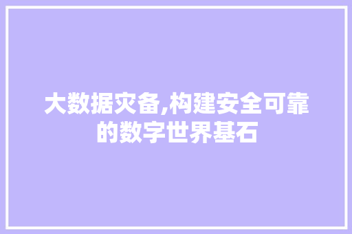 大数据灾备,构建安全可靠的数字世界基石