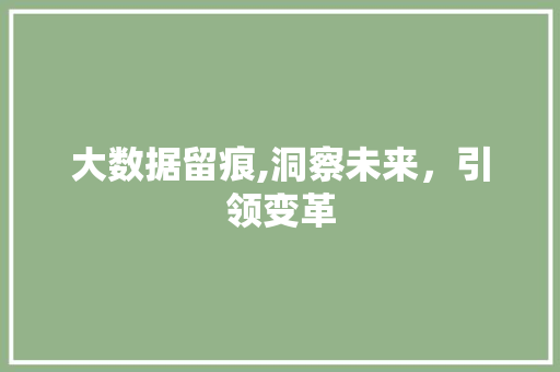 大数据留痕,洞察未来，引领变革